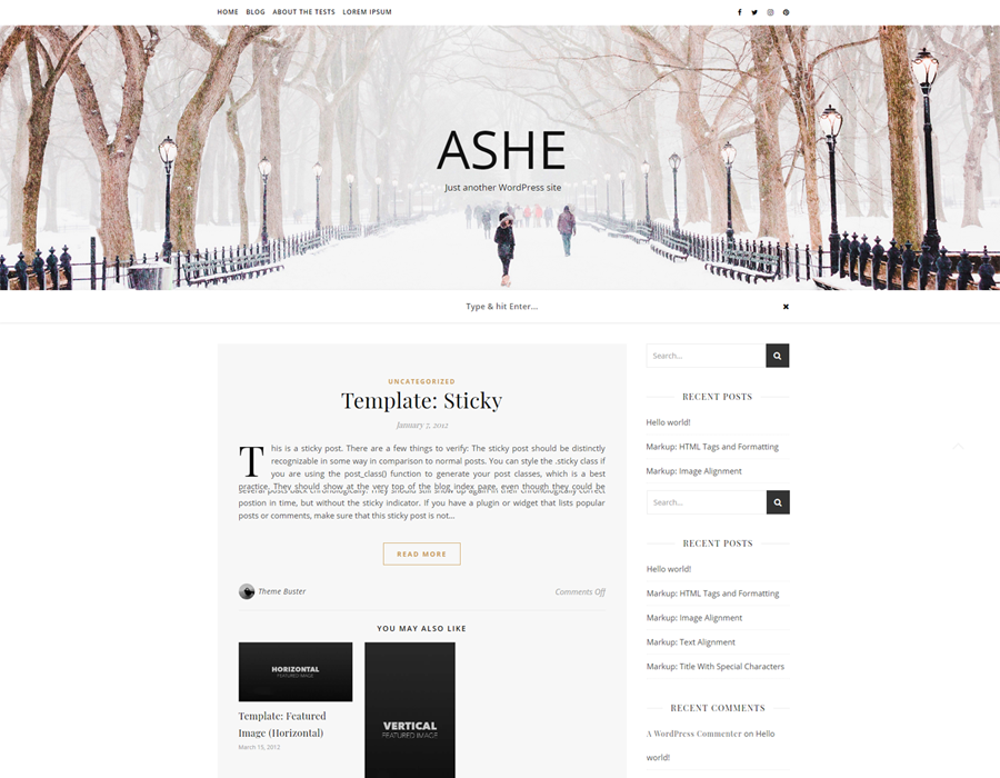 Ashe is a lightweight theme that is optimized for speed and performance.