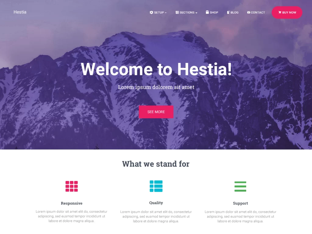 Hestia is a lightweight theme that is optimized for speed and performance.