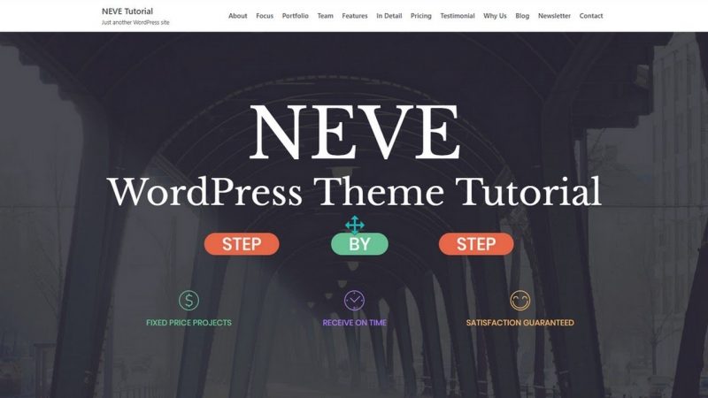 Neve is a lightweight theme that is optimized for speed and performance.