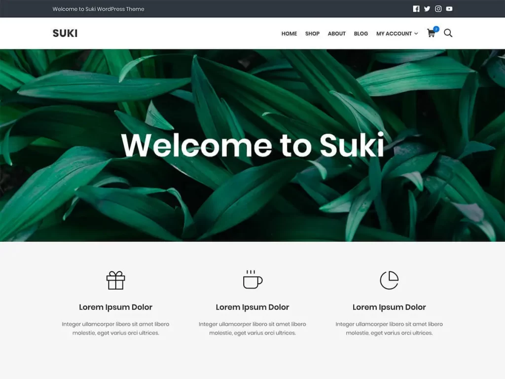 Suki is a lightweight theme that is optimized for speed and performance